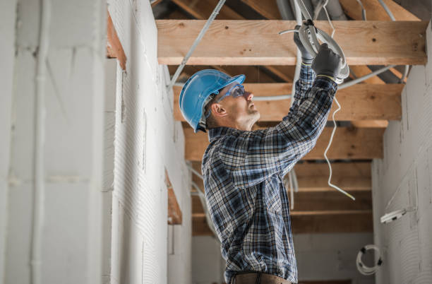 Best Electric Panel Repair  in Lewisburg, WV